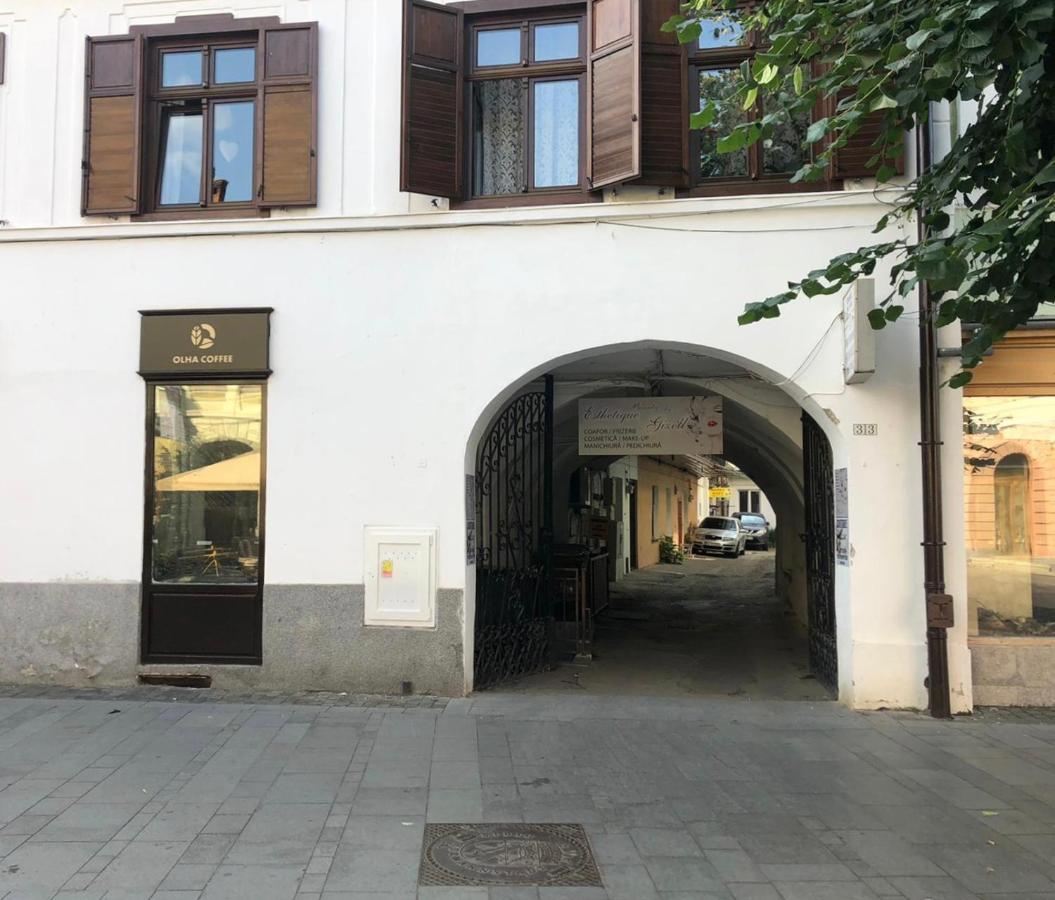 Gizell Apartment 1 Sibiu Exteriör bild